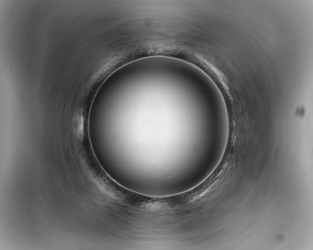 X0000099580067200805161246