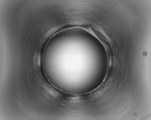 X0000099580068200805161246