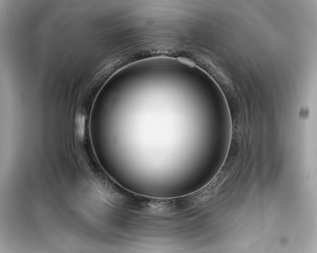 X0000099580070200805161246
