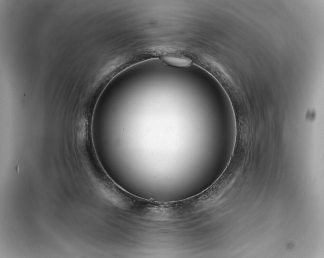 X0000099580071200805161246