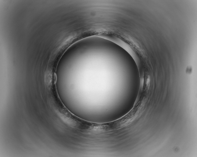 X0000099580072200805161246