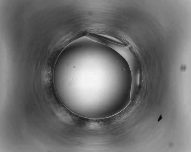 X0000099580073200805161246