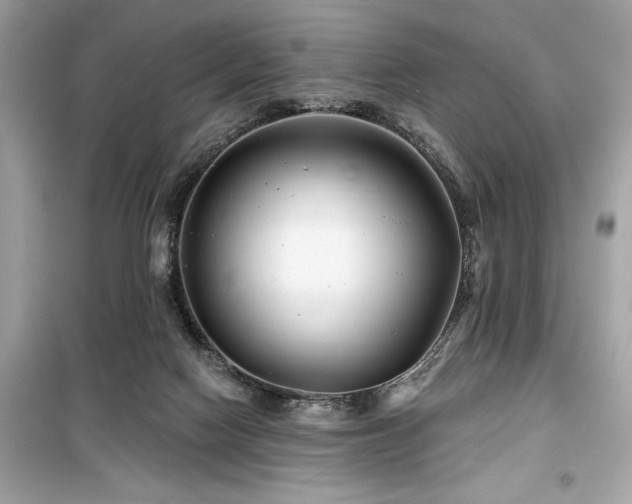 X0000099580074200805161246