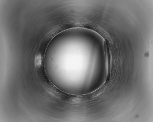 X0000099580075200805161246