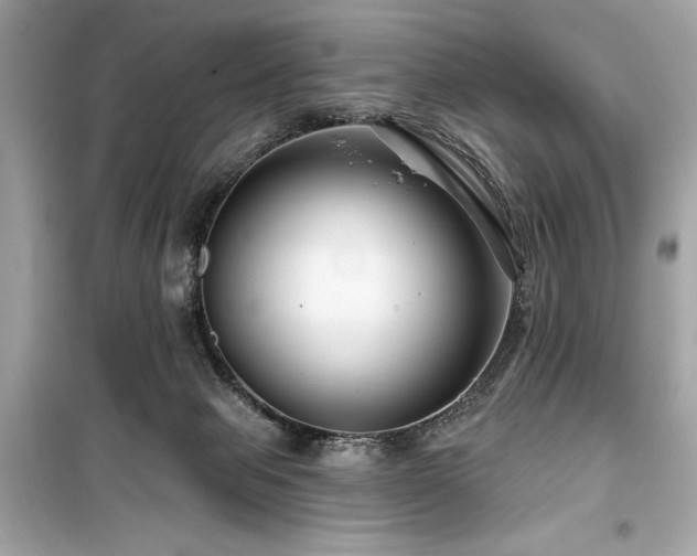 X0000099580077200805161246