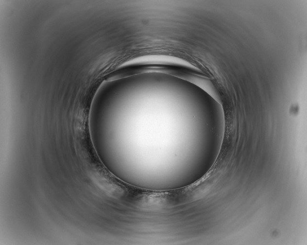 X0000099580078200805161246