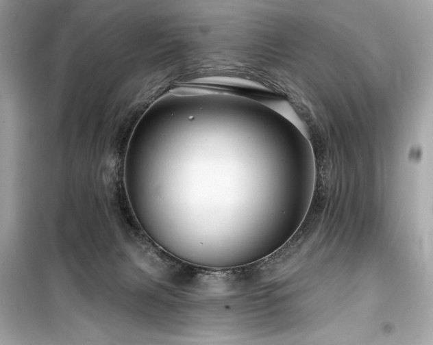 X0000099580079200805161246