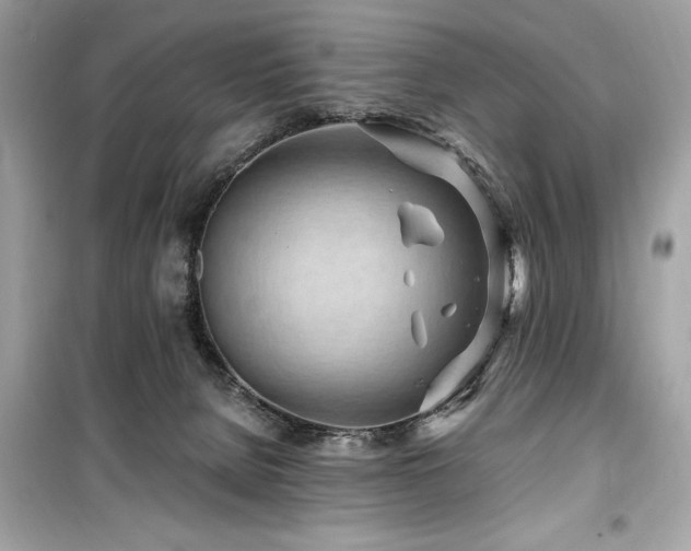 X0000099580080200805161246