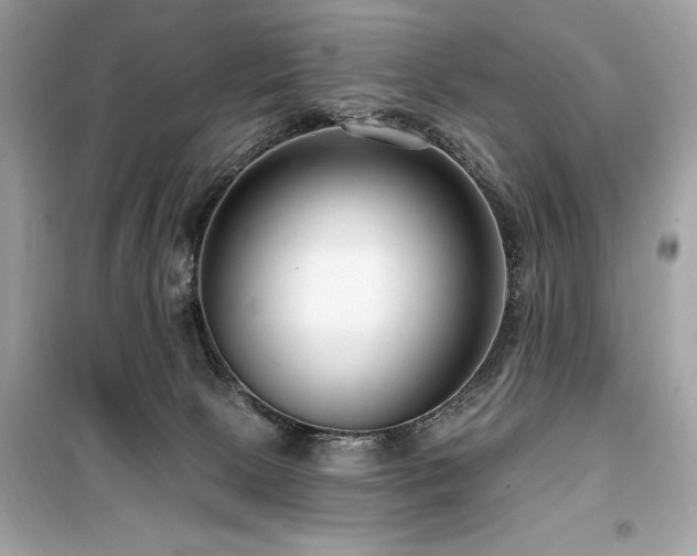 X0000099580081200805161246
