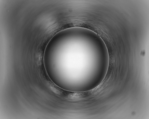 X0000099580082200805161246