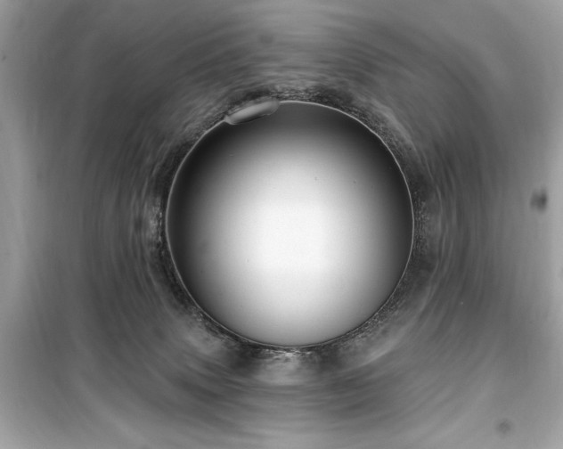 X0000099580083200805161246