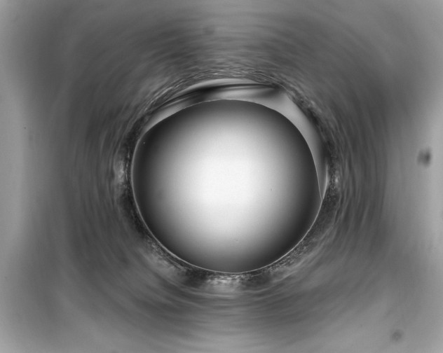 X0000099580084200805161246