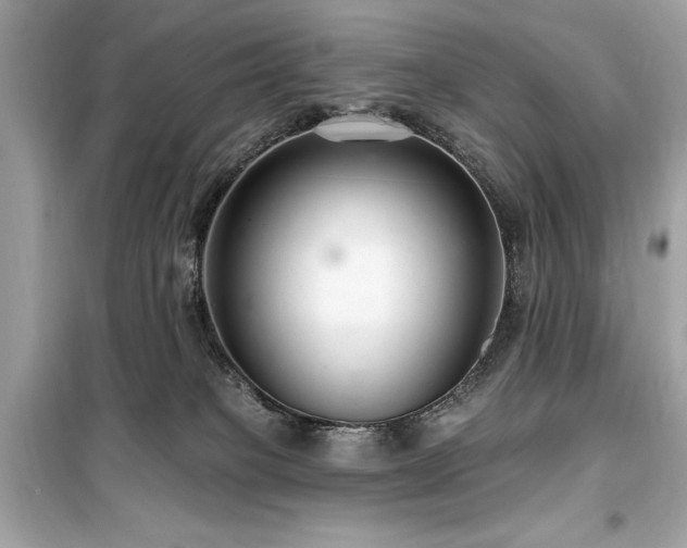 X0000099580085200805161246