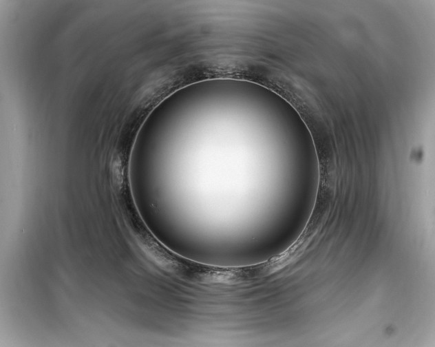 X0000099580086200805161246