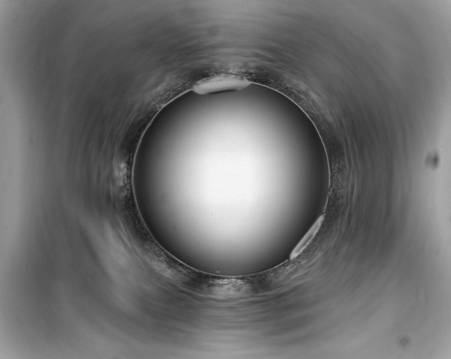 X0000099580087200805161246
