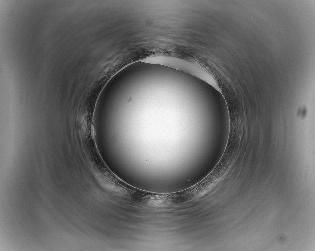 X0000099580088200805161246