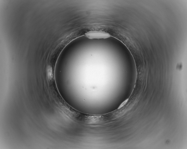 X0000099580089200805161246