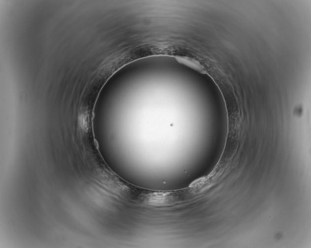 X0000099580090200805161246