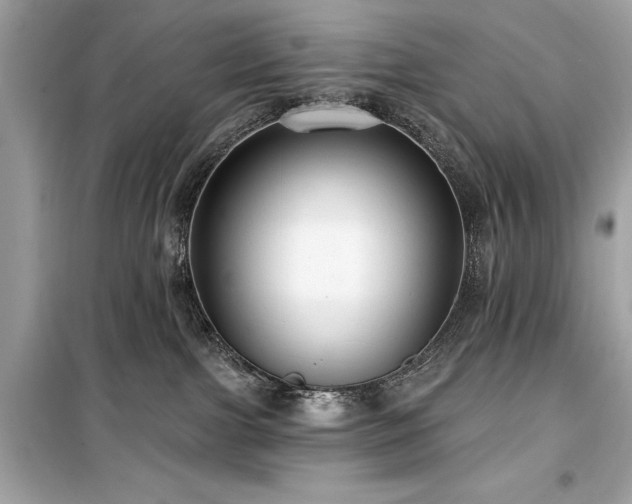 X0000099580091200805161246