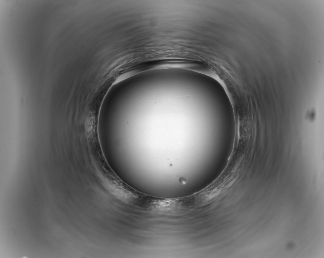 X0000099580092200805161246