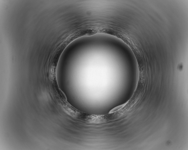 X0000099580093200805161246