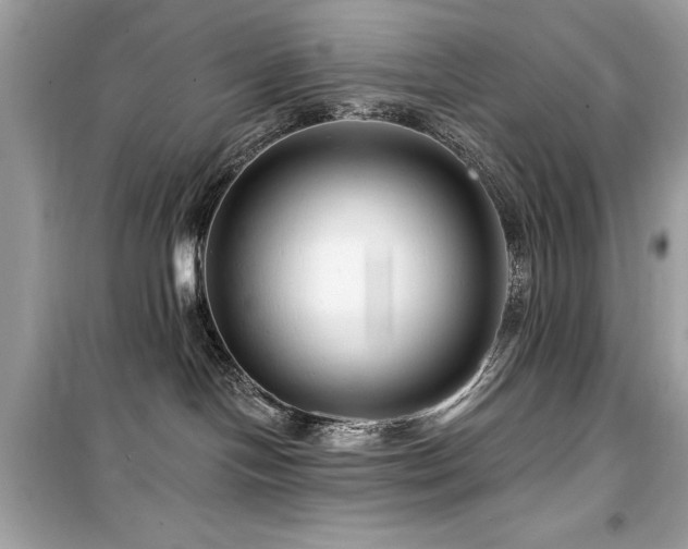 X0000099580094200805161246