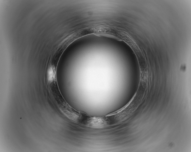 X0000099580095200805161246