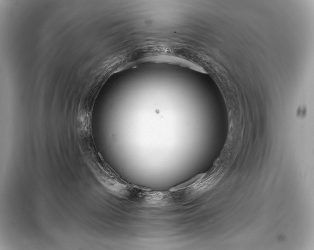 X0000099580096200805161246