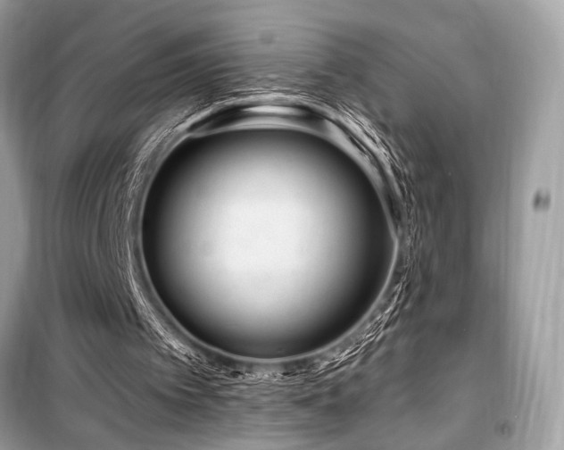 X0000099580097200805161245