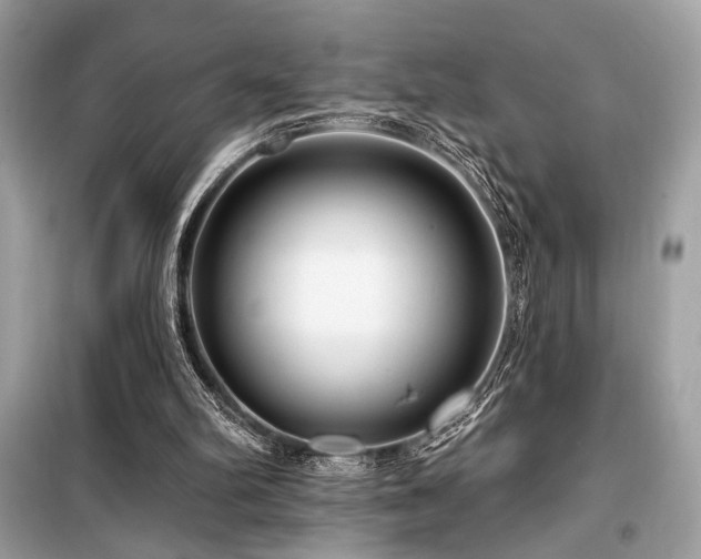 X0000099580102200805161245