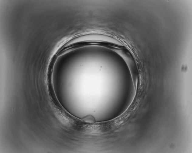 X0000099580104200805161245