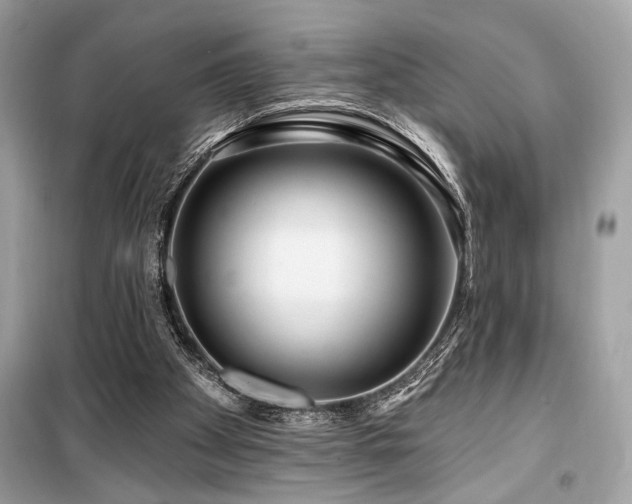 X0000099580105200805161245