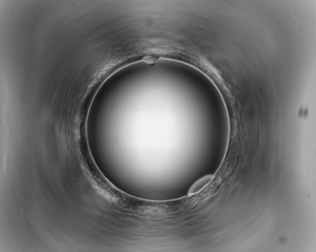 X0000099580106200805161245