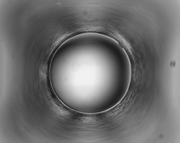 X0000099580107200805161245