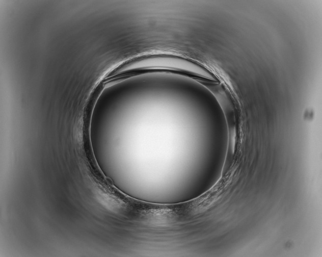 X0000099580108200805161245