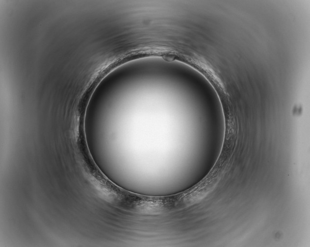 X0000099580110200805161245