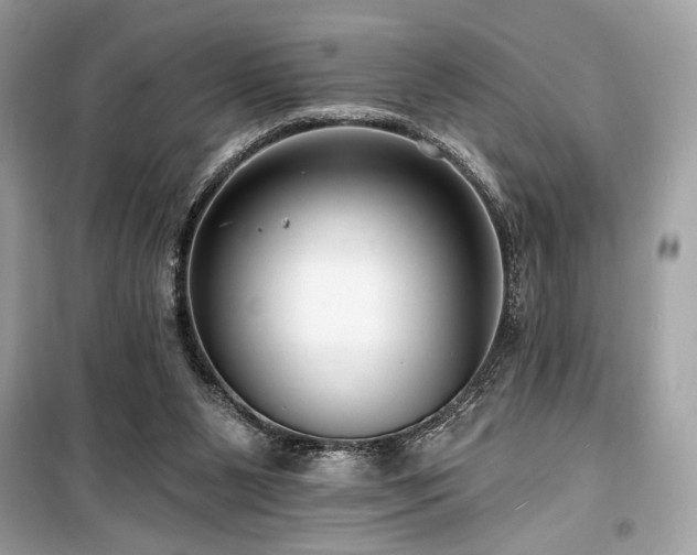 X0000099580111200805161245