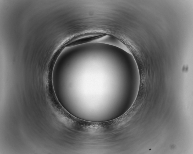 X0000099580112200805161245