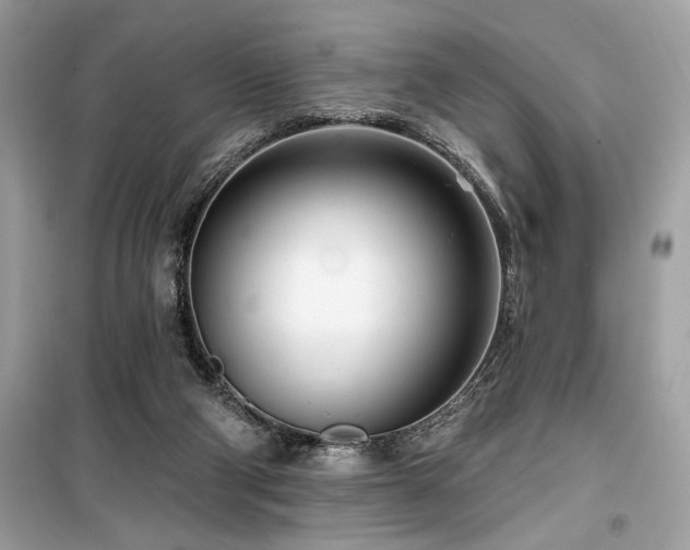 X0000099580114200805161245