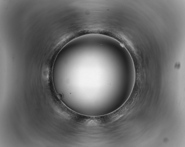 X0000099580115200805161245