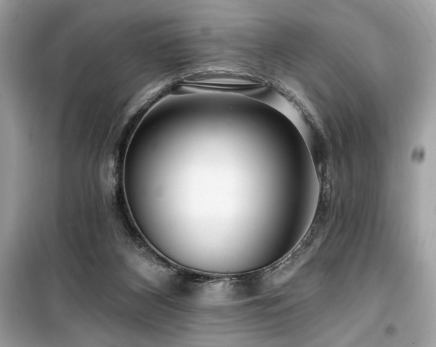 X0000099580116200805161245