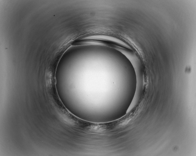 X0000099580117200805161245