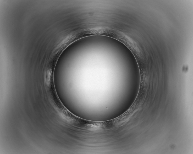 X0000099580118200805161245