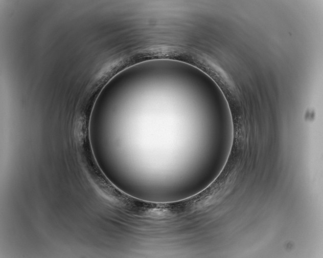 X0000099580119200805161245