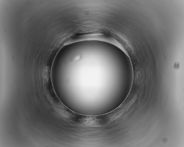 X0000099580121200805161245