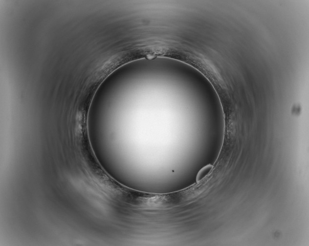 X0000099580122200805161245