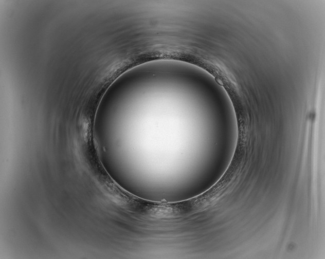 X0000099580123200805161245