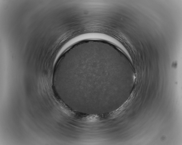 X0000099580124200805161245