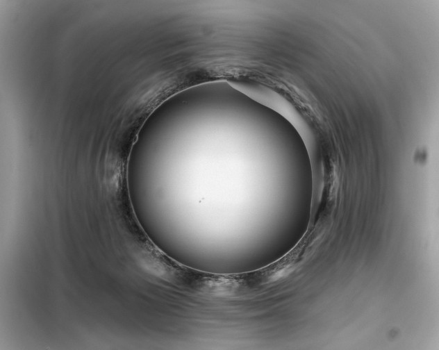 X0000099580125200805161245