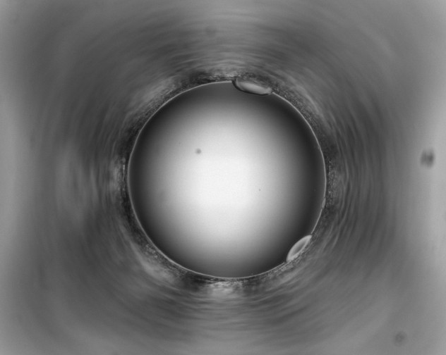 X0000099580126200805161245